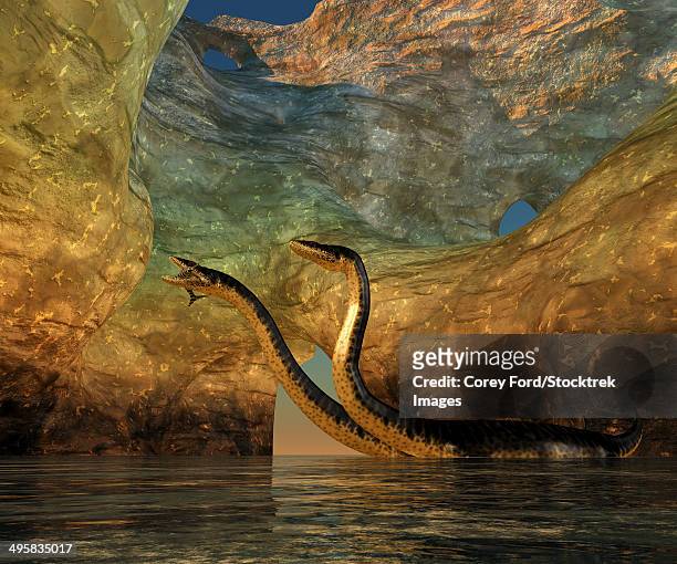 stockillustraties, clipart, cartoons en iconen met a plesiosaurus captures a eurhinosaurus marine reptile in a sea cave off the coast of jurassic seas. - scavenging
