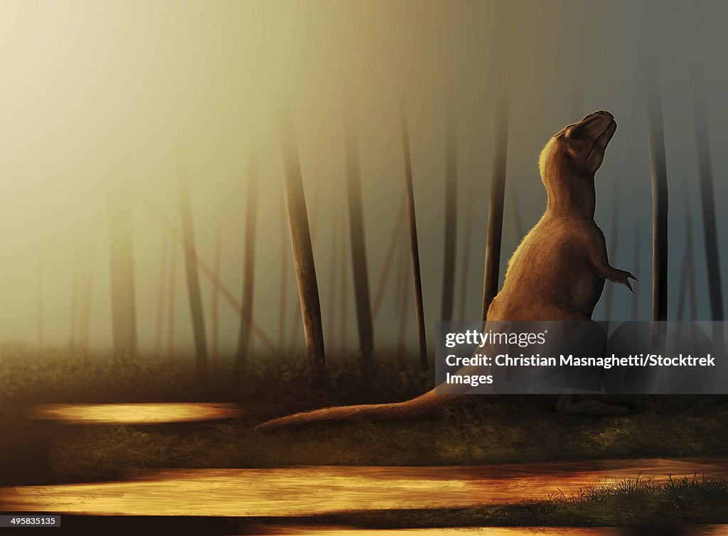 Tyrannosaurus rex sunbathing after the rain.