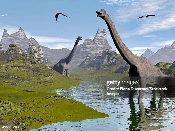 brachiosaurus dinosaurs walking in a stream on a beautiful day. - brachiosaurus stock illustrations