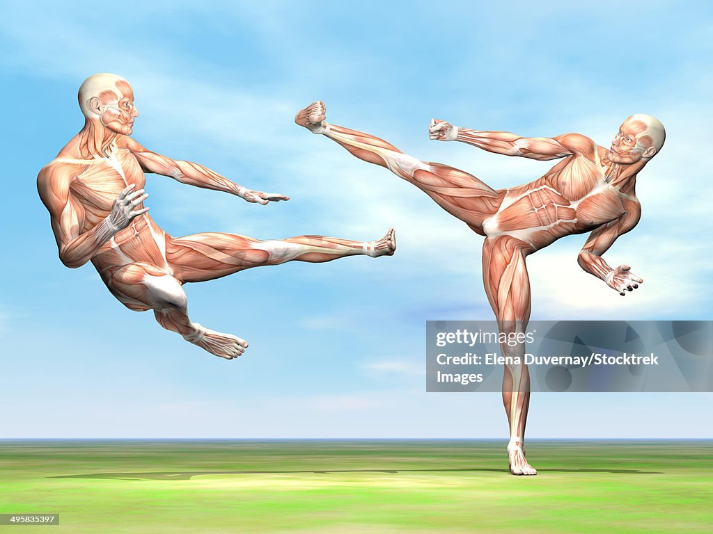 Two male musculatures fighting martial arts.