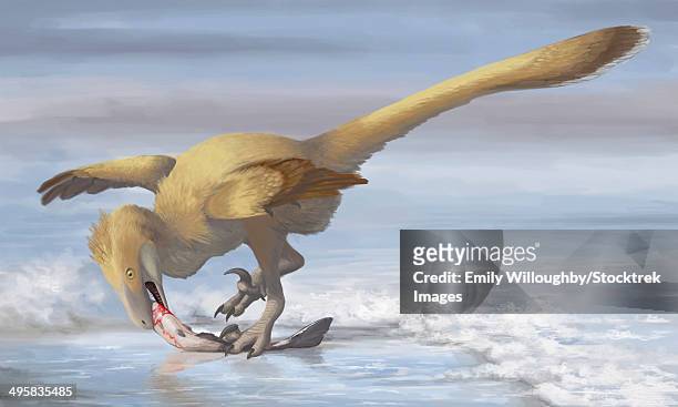 deinonychus antirrhopus preys on a fish. - velociraptor stock-grafiken, -clipart, -cartoons und -symbole