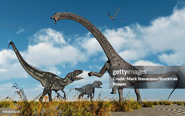 stockillustraties, clipart, cartoons en iconen met a pair of carnivorous allosaurus dinosaurs confront a giant diplodocus sauropod during earth's jurassic period of time. - diplodocus
