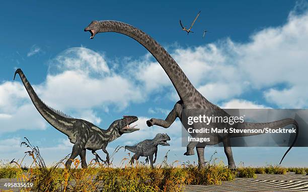 stockillustraties, clipart, cartoons en iconen met a pair of carnivorous allosaurus dinosaurs confront a giant diplodocus sauropod during earth's jurassic period of time. - animal neck