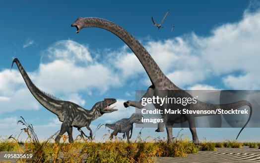 A pair of carnivorous Allosaurus dinosaurs confront a giant Diplodocus sauropod during Earth's Jurassic period of time. A pair of carnivorous Allosaurus dinosaurs confront a giant Diplodocus sauropod during Earth's Jurassic period of time.