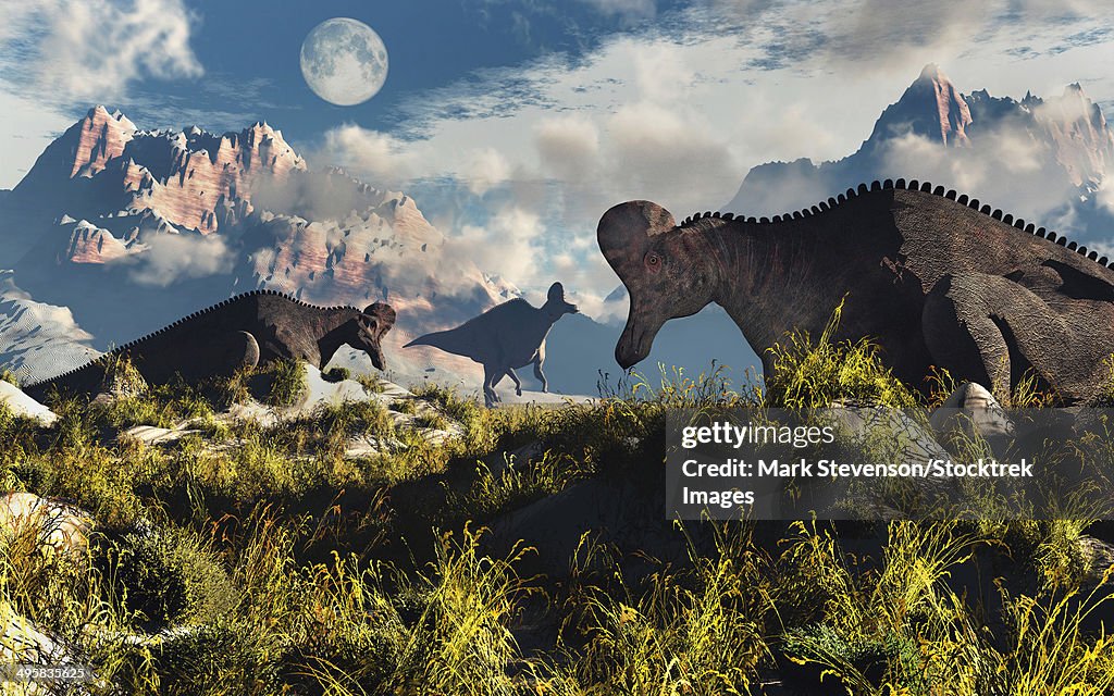 Corythosaurus nesting ground set during the Cretaceous Period.