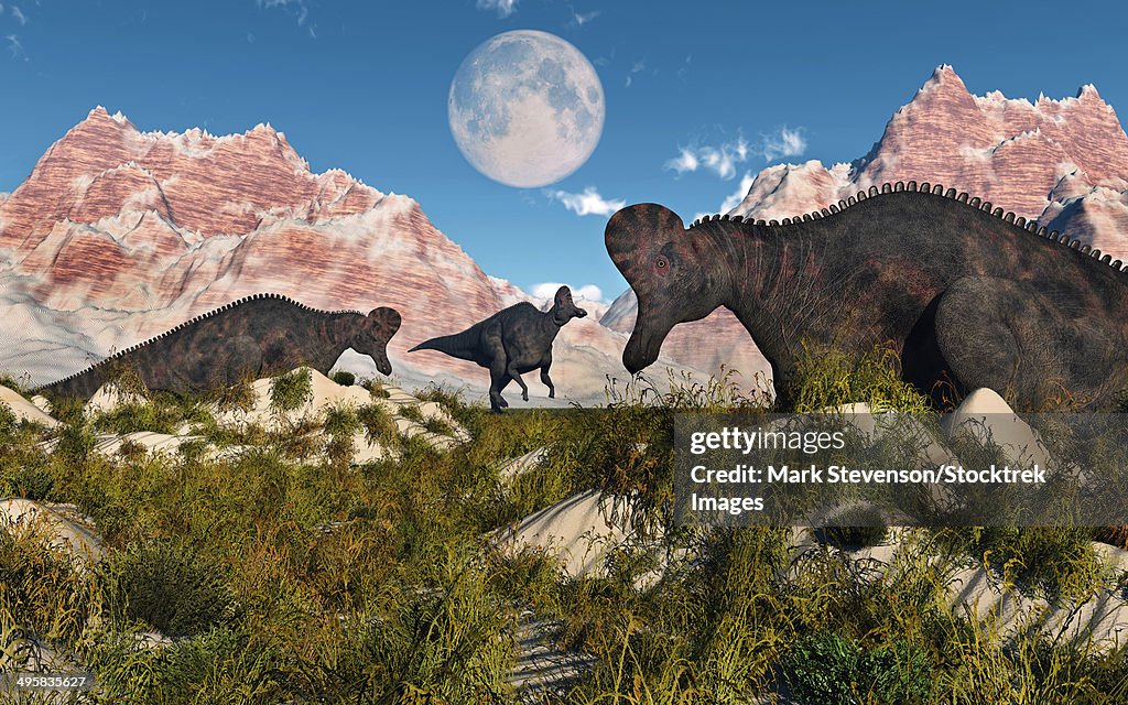 Corythosaurus nesting ground set during the Cretaceous Period.