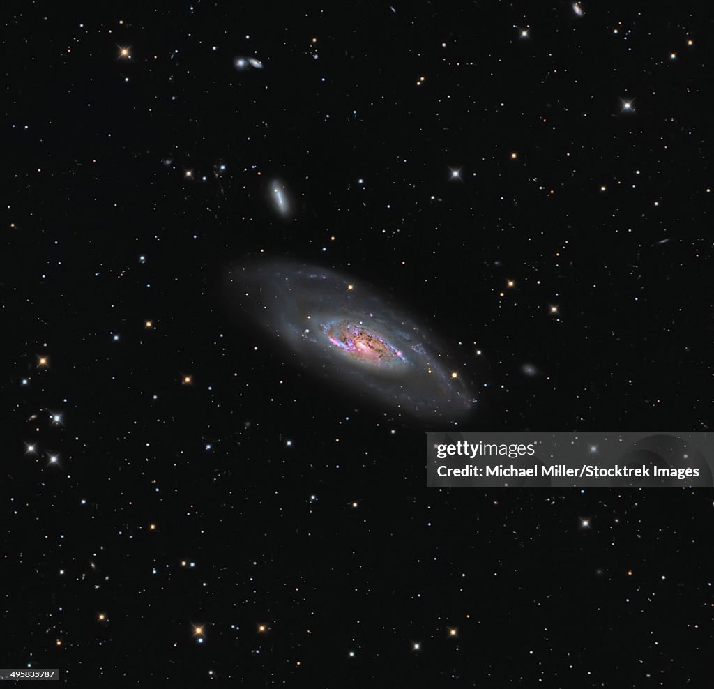 Messier 106, a spiral galaxy in the constellation Canes Venatici.