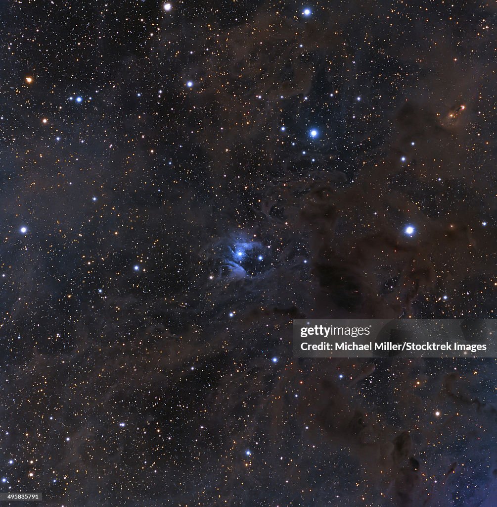 The bright star VdB 16, dust and nebulosity in the constellation Aries.