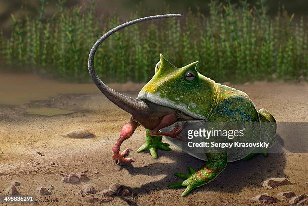 a large beelzebufo ampinga frog from madagascar eating a small masiakasaurus dinosaur. - prehistoric era stock illustrations