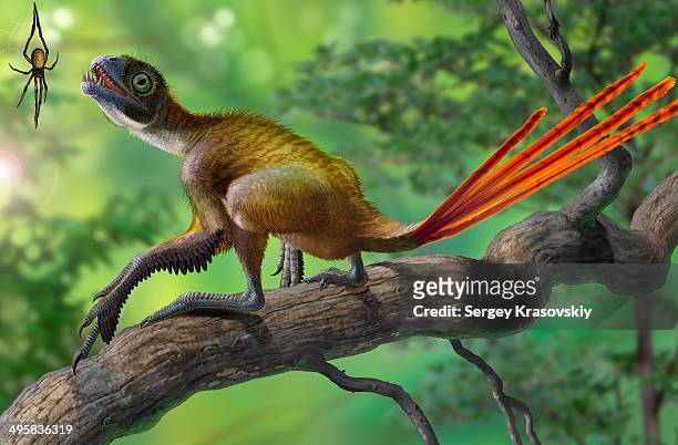 stockillustraties, clipart, cartoons en iconen met epidexipteryx dinosaur perched on a branch ready to eat a nearby spider. - insect eating