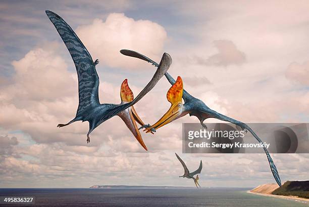 two geosternbergia pterosaurs fighting over small fish. - nahrungskette stock-grafiken, -clipart, -cartoons und -symbole