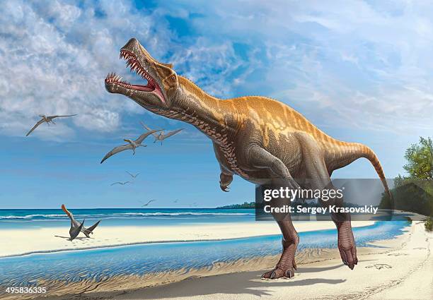 ilustrações de stock, clip art, desenhos animados e ícones de irritator challengeri lets out a loud roar while walking along a cretaceous shoreline. - era mesozoica