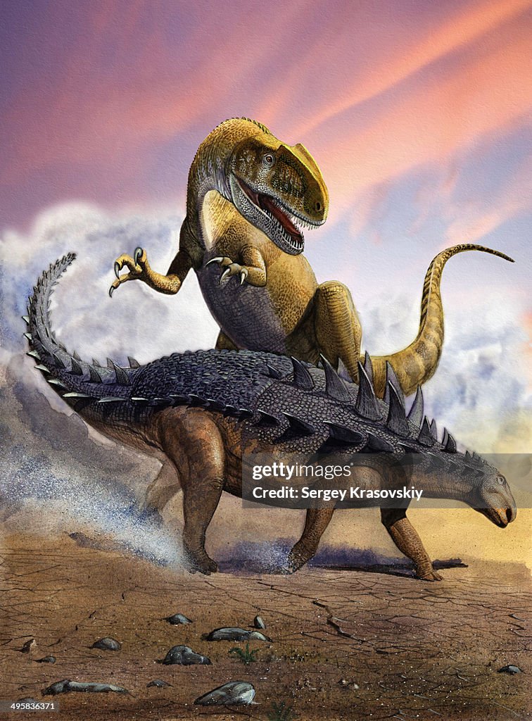 Confronation between a Neovenator allosaurid and a Polacanthus armored dinosaur during the Early Cretaceous Period.