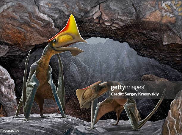 tapejara wellnhoferi pterosaurs seek shelter inside a cave from a rain storm. - paleobiology stock illustrations