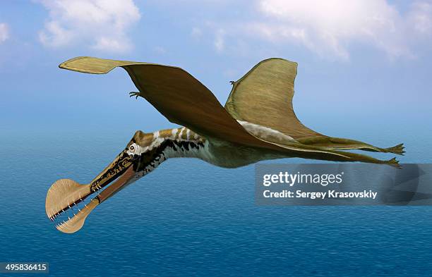 tropeognathus mesembrinus, a large pterosaur from the late cretaceous period of south america. - tropeognathus stock illustrations