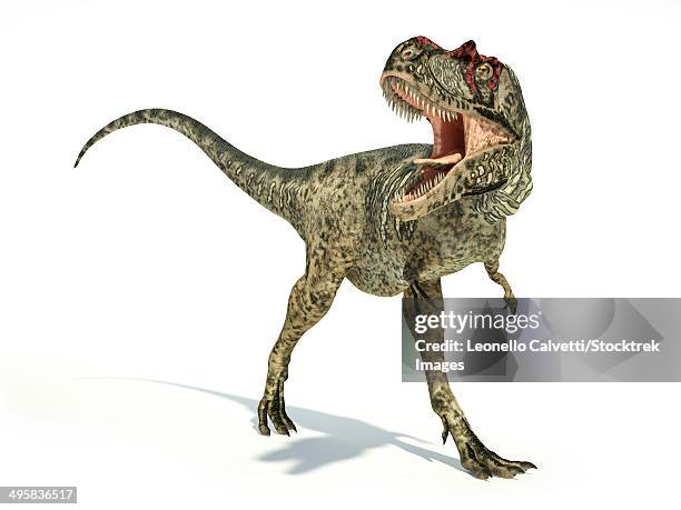 albertosaurus dinosaur on white background with drop shadow. - albertosaurus stock illustrations