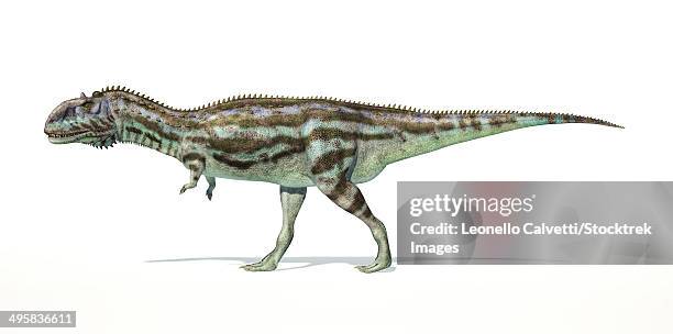 Metasaurus Illustrations, cliparts, dessins animés et icônes de Megasaurus - Getty ...