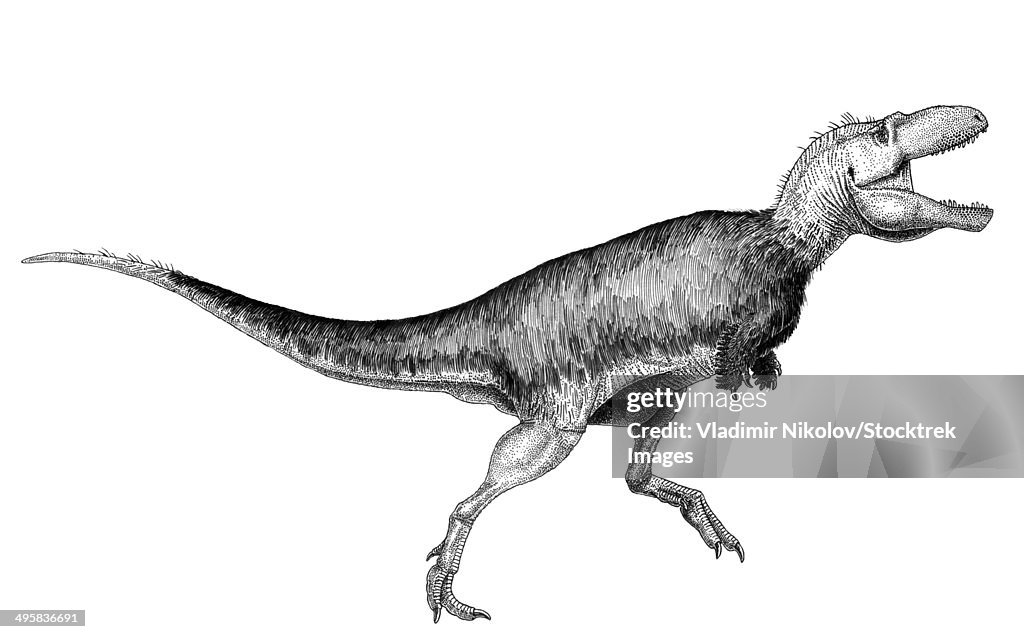 Black ink drawing of Bistahieversor sealeyi.