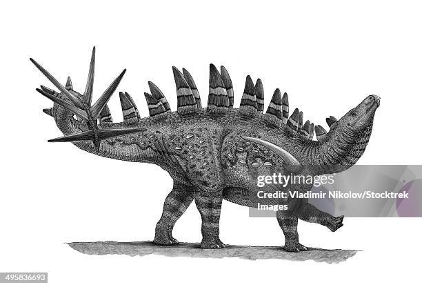 pencil drawing of chungkingosaurus jiangbeiensis. - scute stock illustrations