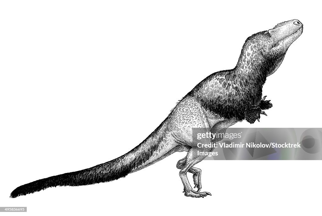 Black ink drawing of Daspletosaurus torosus.