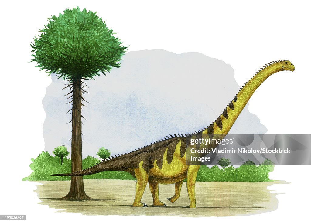 Watercolor painting of Euhelopus zdanskyi.