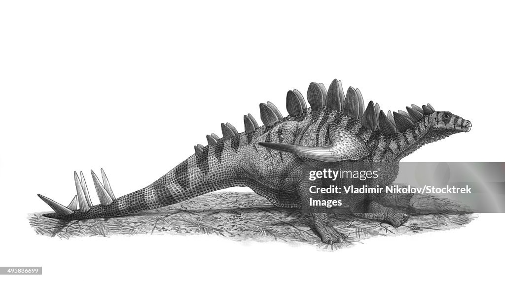 Pencil drawing of Gigantspinosaurus sichuanensis.