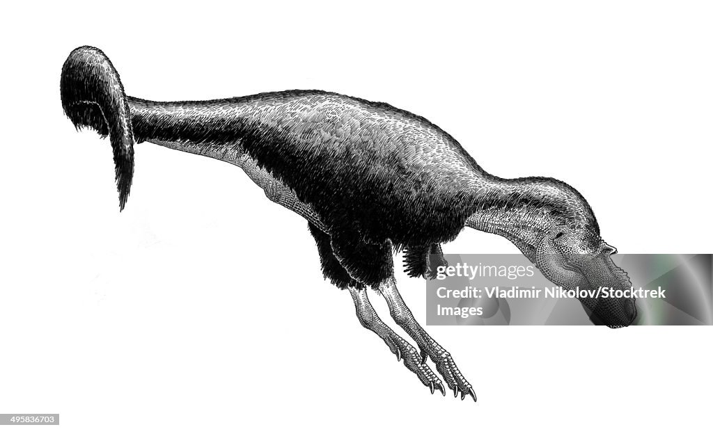 Black ink drawing of Gorgosaurus libratus.