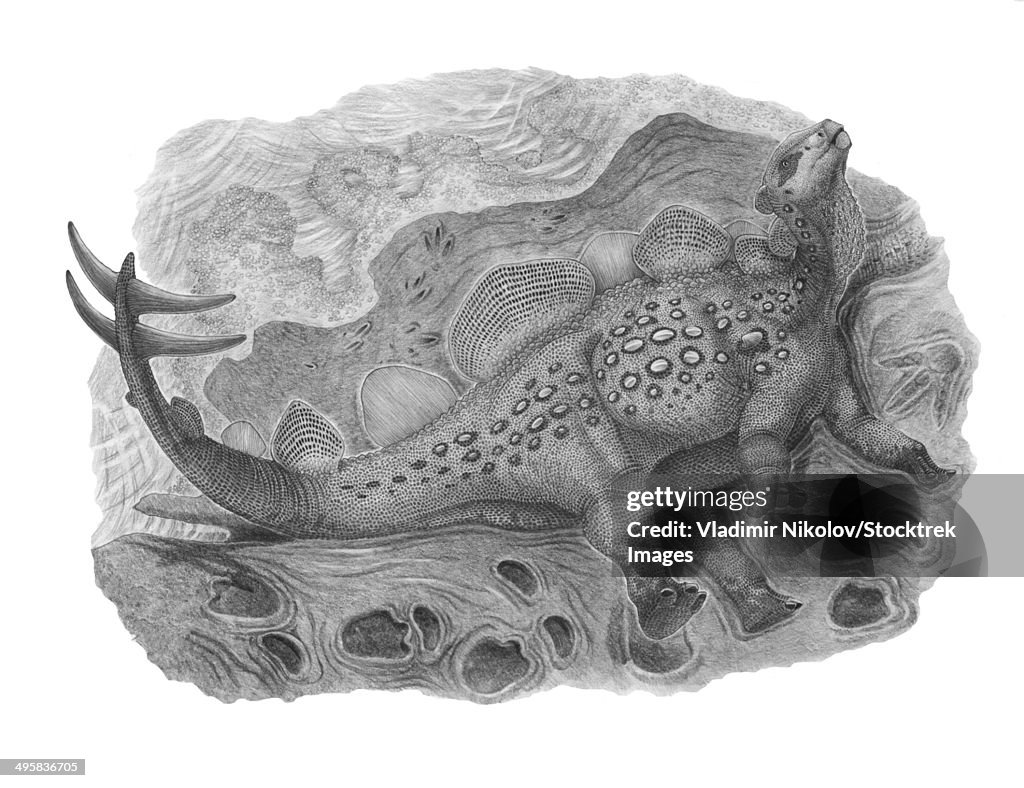 Pencil drawing of Hesperosaurus mjosi.