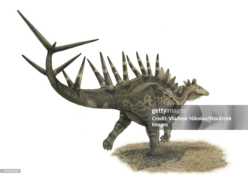 Pencil drawing of Kentrosaurus aethiopicus on yellow paper.