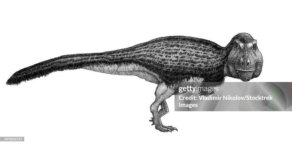 Black ink drawing of Tyrannosaurus rex.