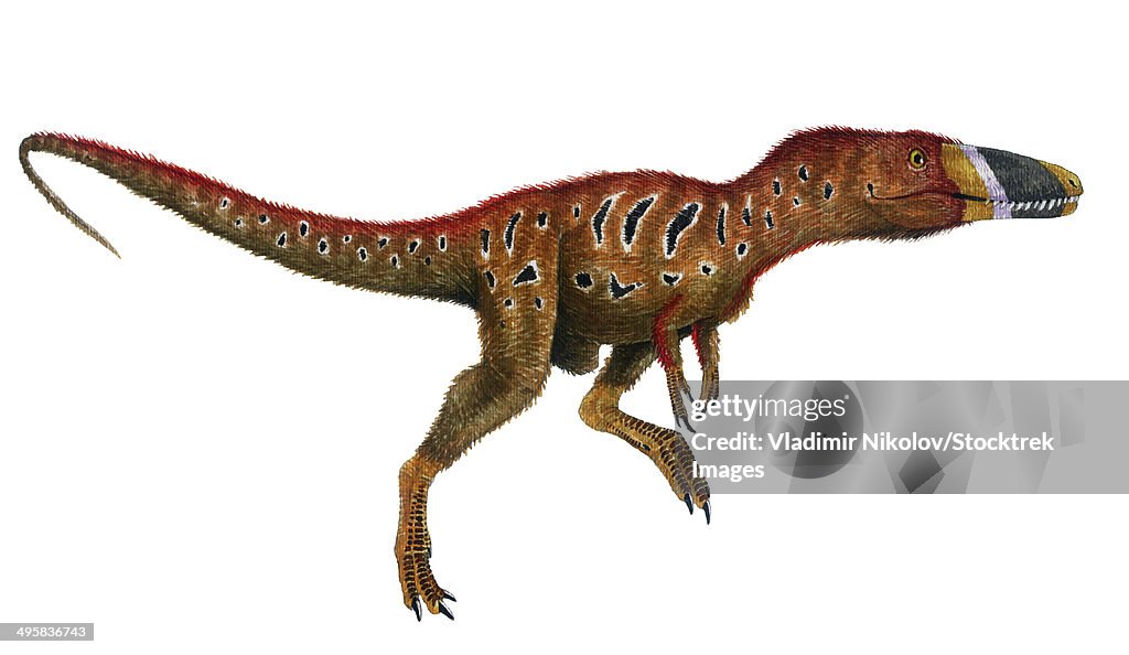 Watercolor painting of Xiongguanlong baimoensis.