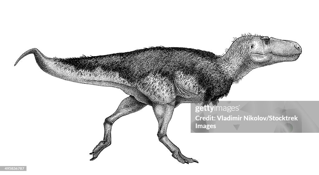 Black ink drawing of Zhuchengtyrannus magnus.