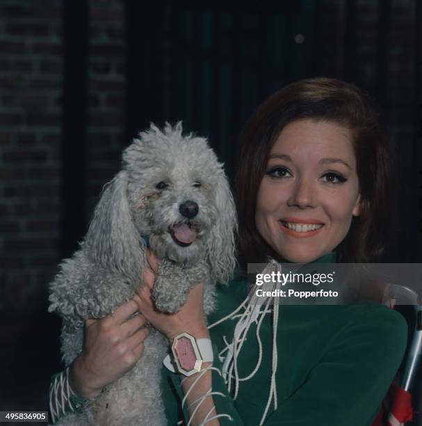 English actress Diana Rigg pictured with her pet poodle in 1967.