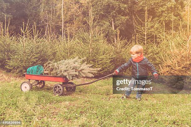 rapaz está puxando um carrinho de compras com a sua nova árvore de natal - carrinho de puxar carrinho imagens e fotografias de stock
