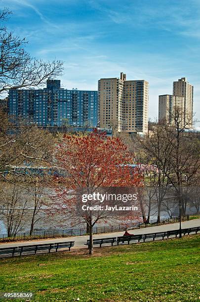 urban life, man alone in new york city cityscape scene - bronx neighborhood stock pictures, royalty-free photos & images