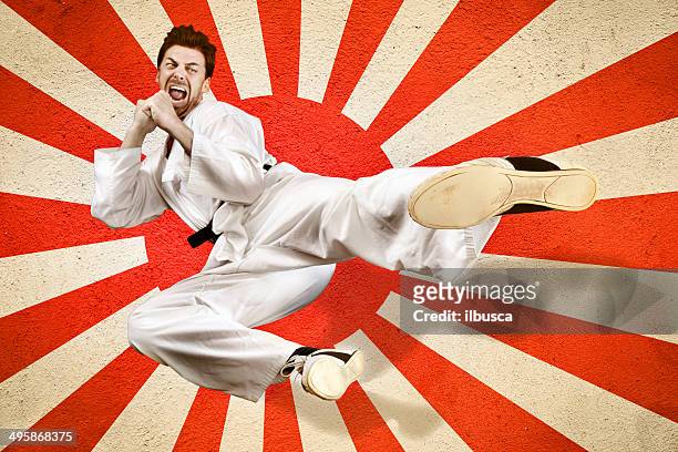 arte marcial pontapé voadora - kung fu imagens e fotografias de stock