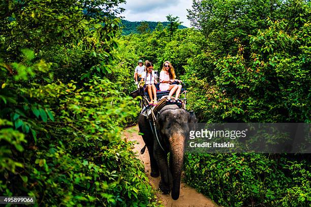 Tourist safari elephant trekking