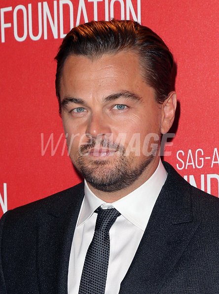 Actor Leonardo DiCaprio attends the...