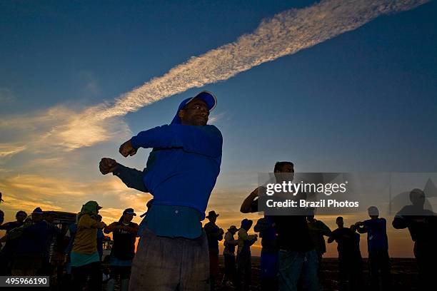 Labor gymnastics for sugarcane cutters in the field at dawn, Ester ethanol and sugar Plant, Cosmopolis city, Sao Paulo State, Brazil.