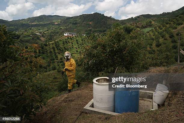 Worker fumigates avocado trees to protect them from mites, a requirement for exports, at the Finca Los Abuelos plantation in El Penol, Colombia, on...