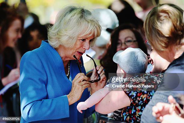 Camilla, Duchess of Cornwall greets fans on November 7, 2015 in Nelson, New Zealand. The Royal couple are on a 12 day tour visiting seven regions in...