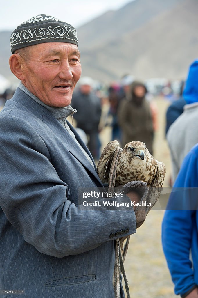 A man holding a saker falcon (Falco cherrug) at the Golden...