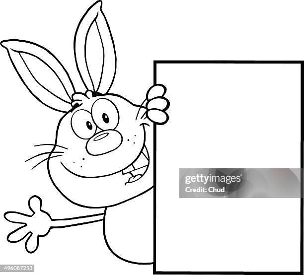 black and white rabbit looking around a blank sign - rabbits studio stock illustrations