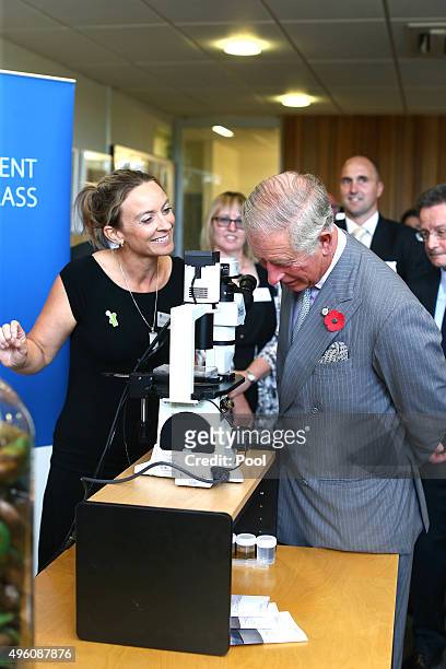 Prince Charles, Prince of Wales talks with Serean Adams at the Cawthron Institute on November 7, 2015 in Nelson, New Zealand. The Royal couple are on...