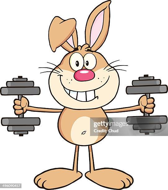 brown rabbit training with dumbbells - looking around stock illustrations