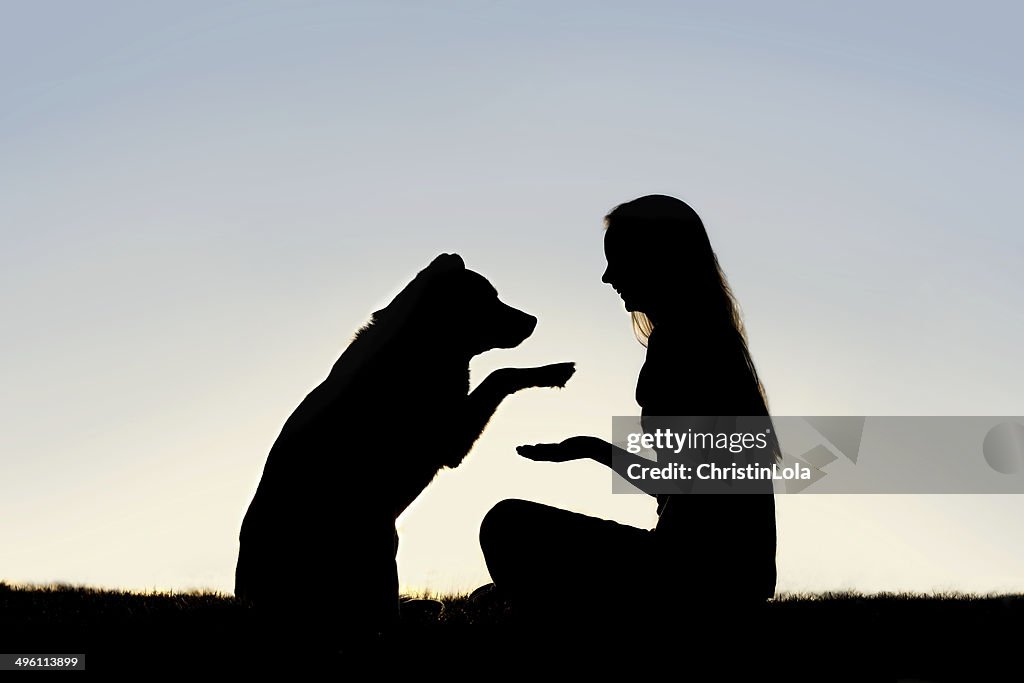 Woman and Her Pet Dog Outside Shaking Hands Silhouette