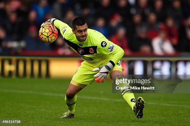 Adam Federici of Bournemouth in action during the Barclays Premier League match between A.F.C. Bournemouth and Newcastle United at Vitality Stadium...