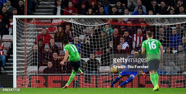 Dusan Tadic of Southampton scores the winning goal from the penalty spot past Costel Pantilimon during the Barclays Premier League match between...