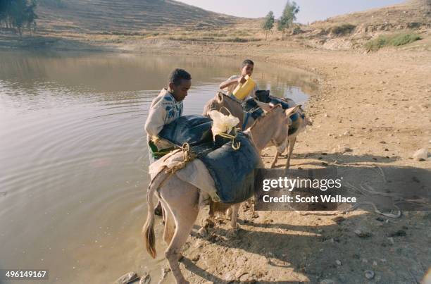 People loading water onto donkeys in Eritrea, 2004.
