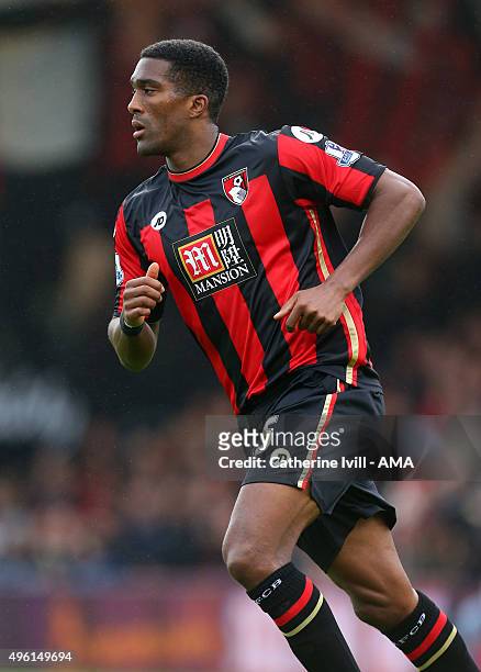 Sylvain Distin of Bournemouth during the Barclays Premier League match between AFC Bournemouth and Newcastle United at Vitality Stadium on November...